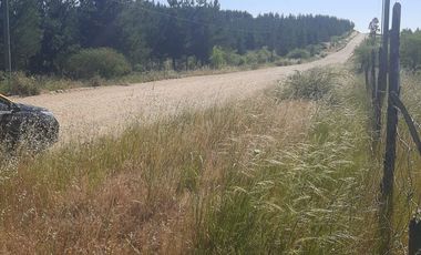 Venta de parcela en San Javier, Septima Región  5000m2