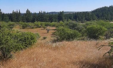 Venta de parcela en San Javier, Septima Región  5000m2
