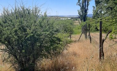 Venta de parcela en San Javier, Septima Región  5000m2