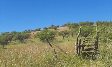 Venta de parcela en San Javier, Septima Región  5000m2
