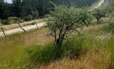 Venta de parcela en San Javier, Septima Región  5000m2