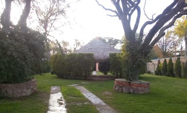 TERRENO EN RENTA SOBRE CARRETERA LAGOS- UNIÓN DE SAN ANTONIO