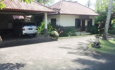 Balian Beach Front Bali Stunning Bali Yoga Retreat