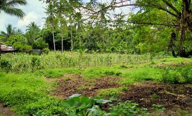 FARM RESIDENTIAL FOR SALE 500 SQM IN CAVITE WITH GOOD WEATHER