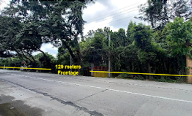 FOR SALE - Vacant Lot in Brgy. Baras Baras, Tarlac