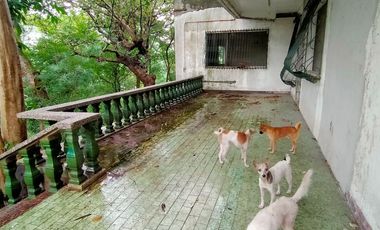 SAN ANTONIO SAN PEDRO LAGUNA WAREHOUSE OFFICE @ 1,515 SQM