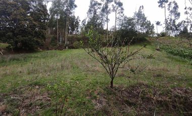 Terreno en Venta sector El Calvario de Sidcay