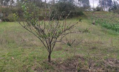 Terreno en Venta sector El Calvario de Sidcay