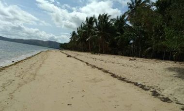 Beach Lot for Sale in Busuanga, Palawan