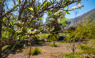 Hermoso terreno de 1,12 ha, con casa amoblada y orilla de río, Valle del Elqui. $245 millones