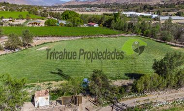 Hermoso terreno de 1,12 ha, con casa amoblada y orilla de río, Valle del Elqui. $245 millones