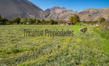 Hermoso terreno de 1,12 ha, con casa amoblada y orilla de río, Valle del Elqui. $245 millones