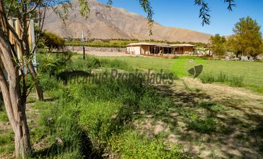 Hermoso terreno de 1,12 ha, con casa amoblada y orilla de río, Valle del Elqui. $245 millones
