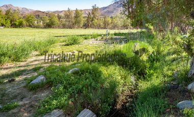 Hermoso terreno de 1,12 ha, con casa amoblada y orilla de río, Valle del Elqui. $245 millones