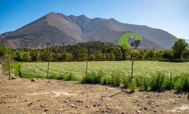 Hermoso terreno de 1,12 ha, con casa amoblada y orilla de río, Valle del Elqui. $245 millones