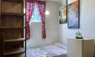 RENTO DEPARTAMENTO PARA EJECUTIVOS AMUEBLADO EN TEQUISQUIAPAN