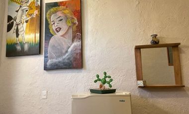 RENTO DEPARTAMENTO PARA EJECUTIVOS AMUEBLADO EN TEQUISQUIAPAN