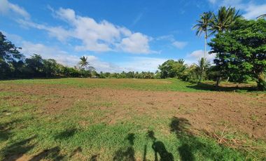For Sale: Agricultural Land Farm Lot in Alfonso Cavite