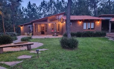 Cabaña Tapalpa en el bosque