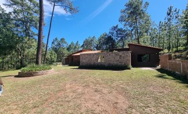 Cabaña Tapalpa en el bosque
