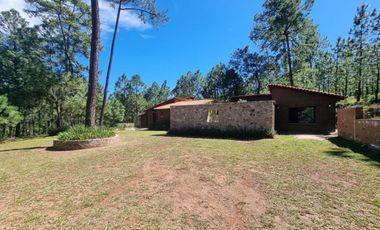 Cabaña Tapalpa en el bosque
