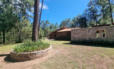 Cabaña Tapalpa en el bosque