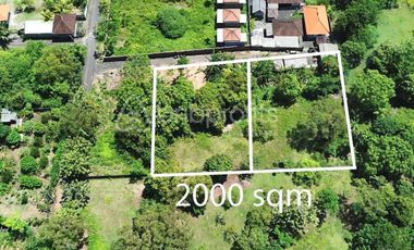 Prime Investment Opportunity, Unveiling the Potential of Nyang-Nyang’s Serene 20 Are Gem