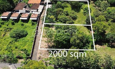 Prime Investment Opportunity, Unveiling the Potential of Nyang-Nyang’s Serene 20 Are Gem