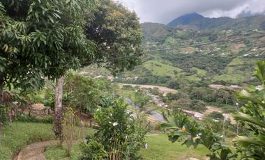 VENTA DE FINCA EN BARBOSA ANTIOQUIA.