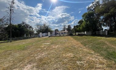 VENDO RANCHO 5.5 HECTAREAS CARRETERA SAN MIGUEL A DOLORES, CON CASAS, CABALLERIZAS, POZO, PEGADAS AL RIO LAJA Y CARRETERA DEL LADO DE DOLORES, HIDALGO