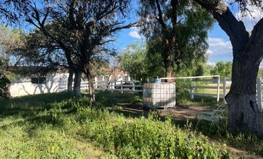 VENDO RANCHO 5.5 HECTAREAS CARRETERA SAN MIGUEL A DOLORES, CON CASAS, CABALLERIZAS, POZO, PEGADAS AL RIO LAJA Y CARRETERA DEL LADO DE DOLORES, HIDALGO