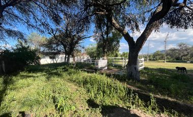 VENDO RANCHO 5.5 HECTAREAS CARRETERA SAN MIGUEL A DOLORES, CON CASAS, CABALLERIZAS, POZO, PEGADAS AL RIO LAJA Y CARRETERA DEL LADO DE DOLORES, HIDALGO