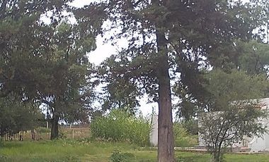 VENDO RANCHO 5.5 HECTAREAS CARRETERA SAN MIGUEL A DOLORES, CON CASAS, CABALLERIZAS, POZO, PEGADAS AL RIO LAJA Y CARRETERA DEL LADO DE DOLORES, HIDALGO