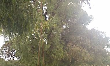 VENDO RANCHO 5.5 HECTAREAS CARRETERA SAN MIGUEL A DOLORES, CON CASAS, CABALLERIZAS, POZO, PEGADAS AL RIO LAJA Y CARRETERA DEL LADO DE DOLORES, HIDALGO