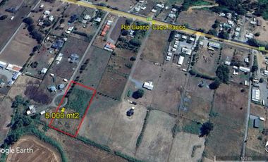 Parcela a 3 KM de Rio Bueno $ 50.000.000.-