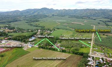 3 Hectares Land in Talakag Bukidnon For Sale