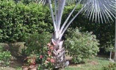Casa Campestre en Alquiler Vacacional en Ricaurte- Cundinamarca
