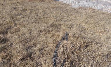 Tu refugio seguro en Puebla: terreno en fraccionamiento ecológico premium