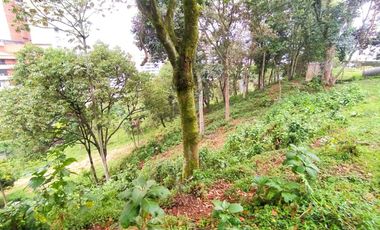 VENTA DE LOTE EN CAMINOS DE LA ROMERA SABANETA