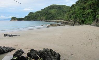For Sale: Beach in San Vicente Palawan