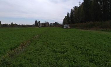 Se venden Parcelas 5000 m2 en Doñihue V1426-100-CL-09.22