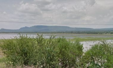 Rancho para cultivo en Renta a pie de Carretera Cd Manuel Doblado 120 hectáreas