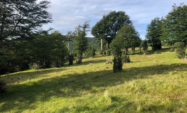 Parcelas en venta en Puerto Natales, Proyecto Las Caturras - Magallanes