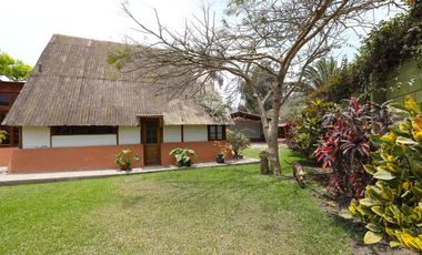 Propiedad en Pachacamac: Nave Industrial con Área Agroindustrial y 3 Casas