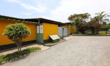 Propiedad en Pachacamac: Nave Industrial con Área Agroindustrial y 3 Casas