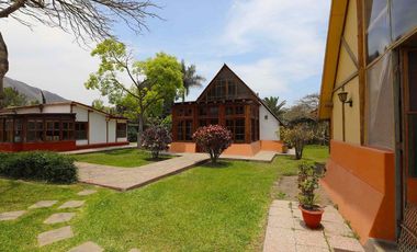 Propiedad en Pachacamac: Nave Industrial con Área Agroindustrial y 3 Casas