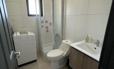 Vendo dos casas Camino Villarrica- Pucon parcela de 5000m2