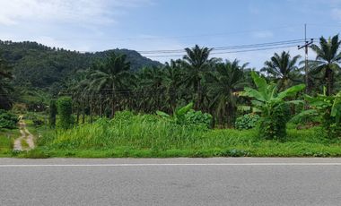 548 rai of palm and durian in a scenic mountainous area for sale in Kapong, phangnga