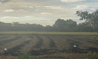 10.16 Hectares Prime Location Commercial Industrial Lot for Sale along Maharlika Highway, Brgy. Tarcan, Baliuag City, Bulacan