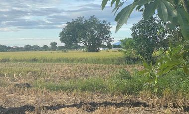 10.16 Hectares Prime Location Commercial Industrial Lot for Sale along Maharlika Highway, Brgy. Tarcan, Baliuag City, Bulacan